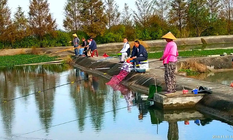 钓鱼浮漂入水后十多种漂相反应及鱼讯 一般是小鱼在中上层接住钩饵应及时扬竿
