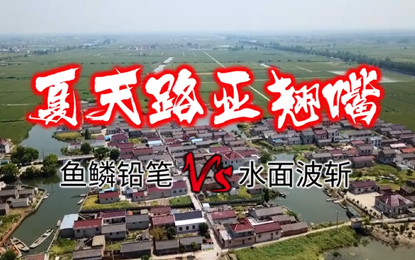 蓝旗鱼路亚夏季路亚翘嘴，哪种效率高？